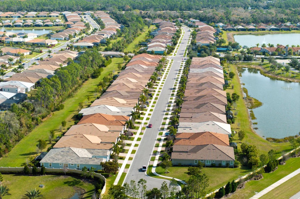 Palm Shores market