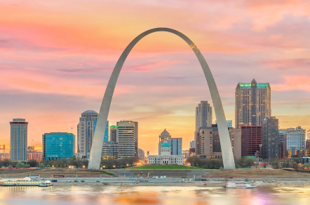 St. Louis market
